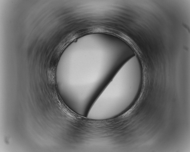 X0000101120857200806261044