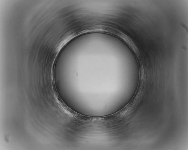 X0000101120858200806261044