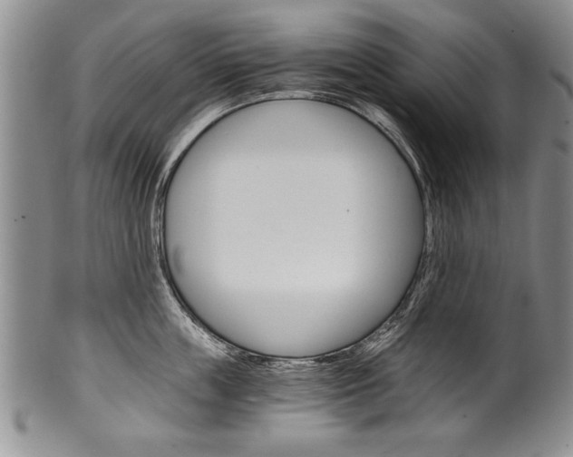X0000101120859200806261044