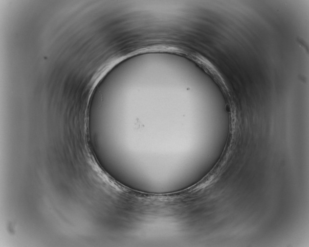 X0000101120860200806261044
