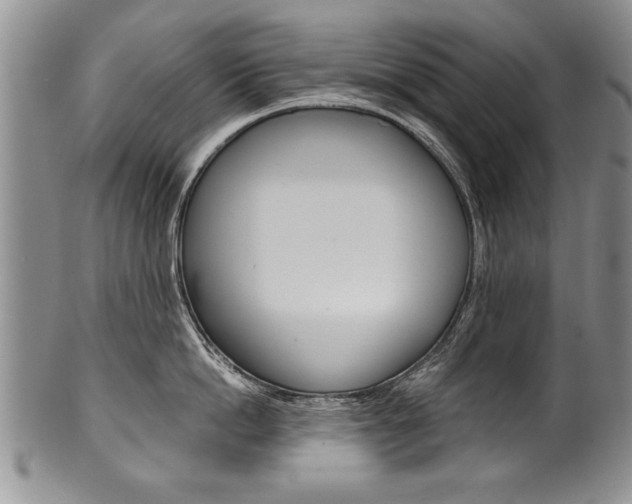 X0000101120862200806261044