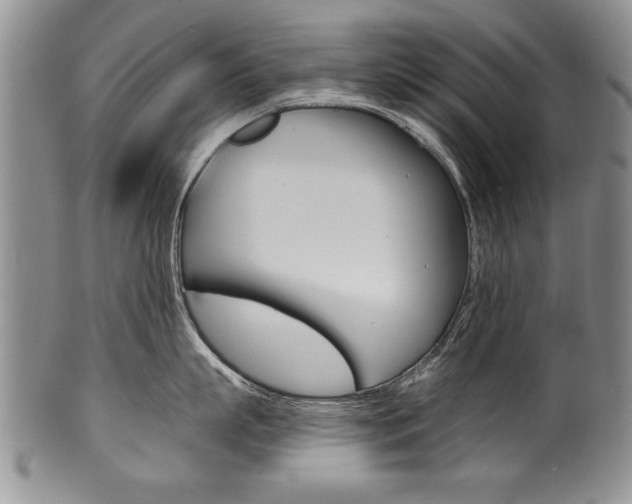 X0000101120863200806261044