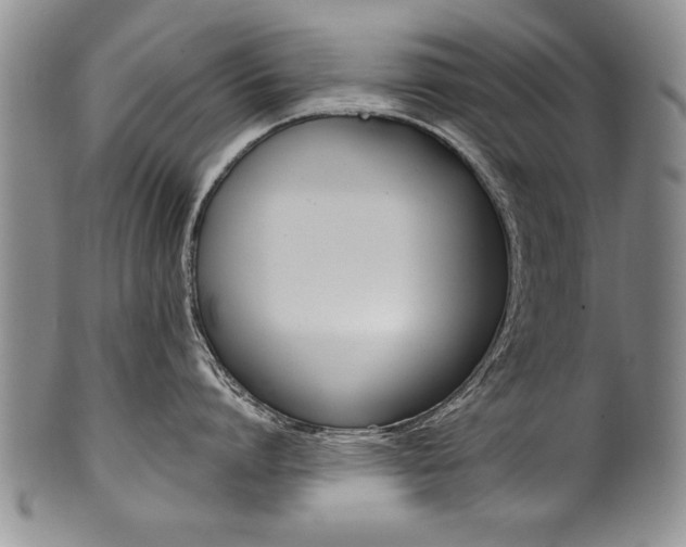 X0000101120864200806261044
