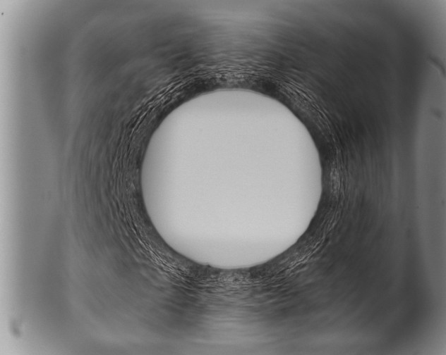 X0000101120865200806261043