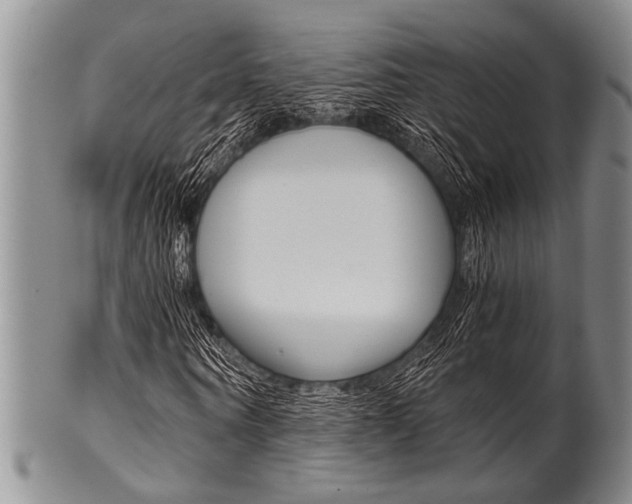 X0000101120866200806261043