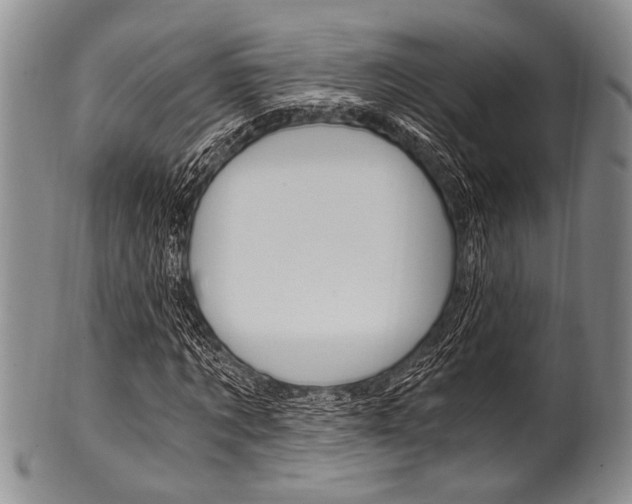 X0000101120869200806261043