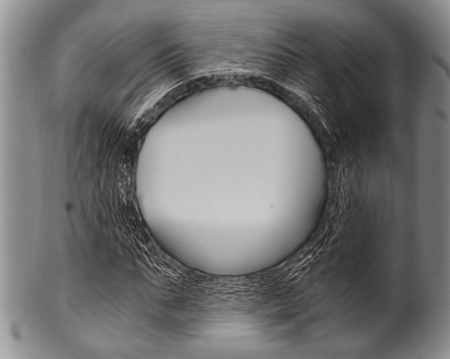 X0000101120871200806261043