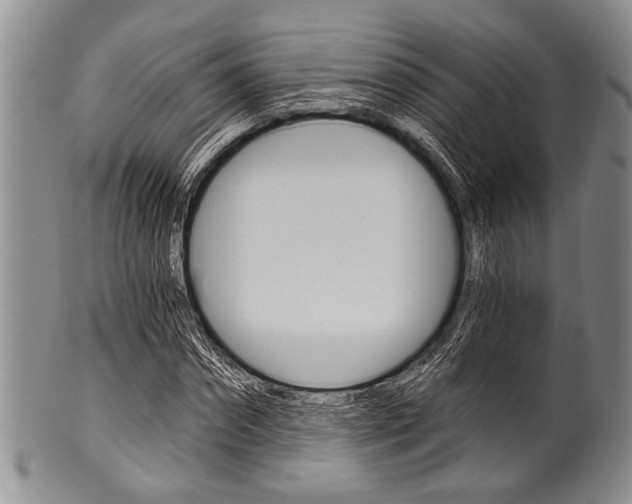 X0000101120874200806261043