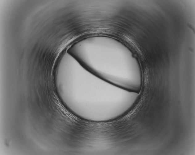 X0000101120876200806261043