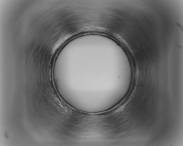 X0000101120877200806261043
