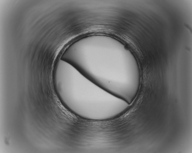 X0000101120880200806261043