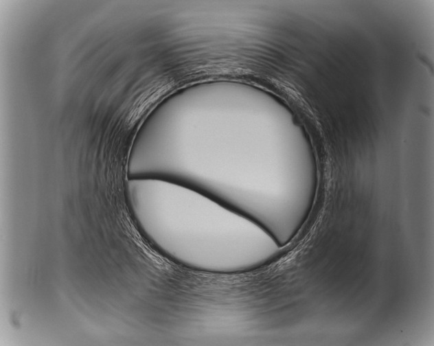X0000101120881200806261043