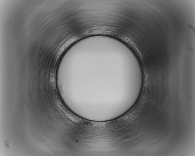 X0000101120882200806261043