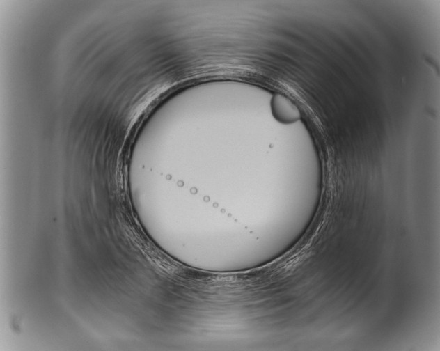 X0000101120883200806261043