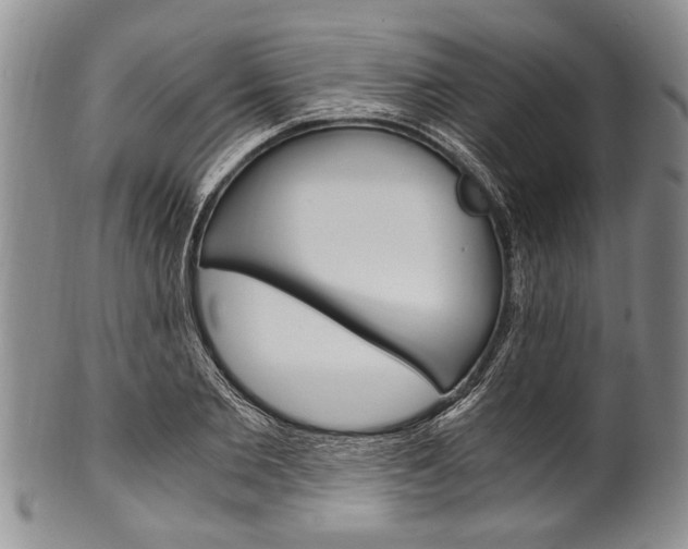 X0000101120885200806261043
