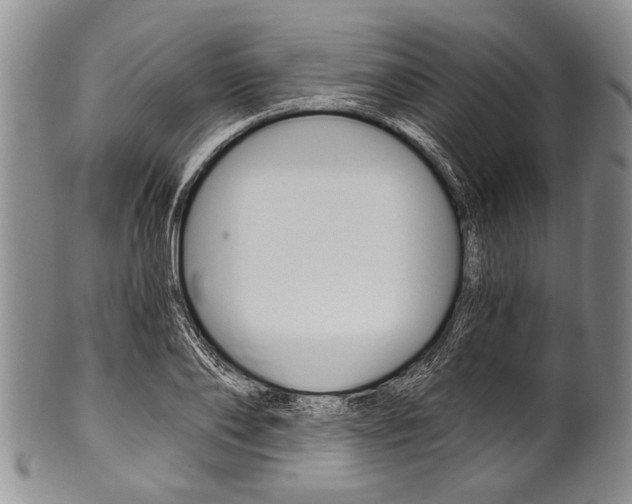 X0000101120886200806261043
