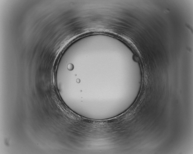 X0000101120887200806261042