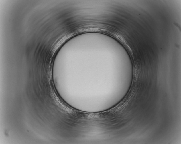 X0000101120890200806261042