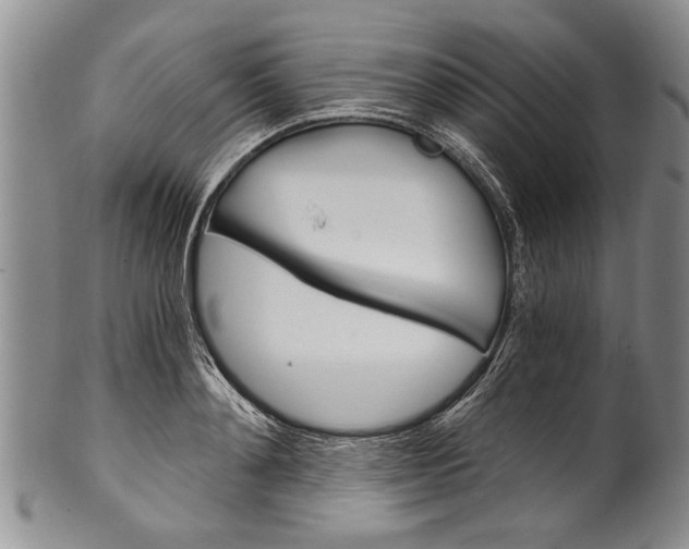 X0000101120892200806261042