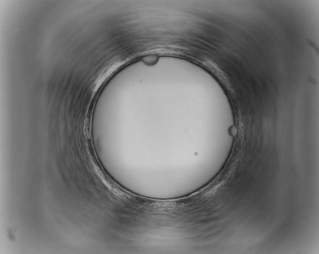 X0000101120893200806261042