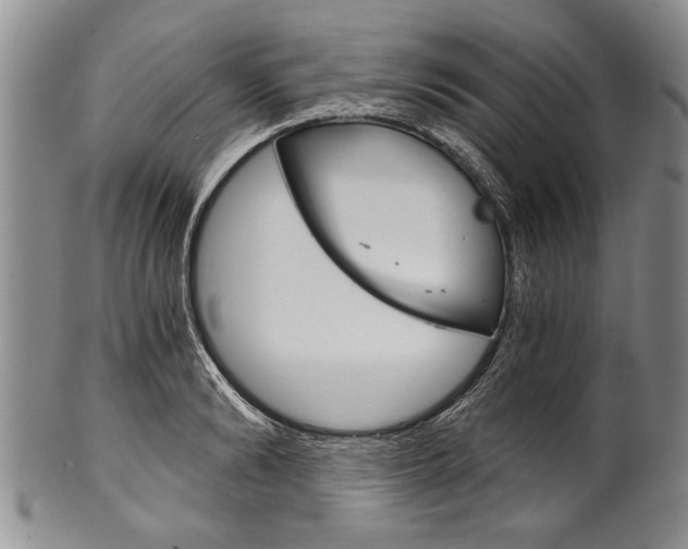 X0000101120894200806261042