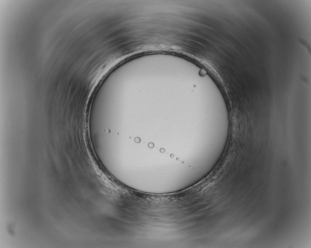 X0000101120895200806261042
