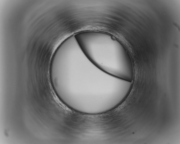 X0000101120896200806261042