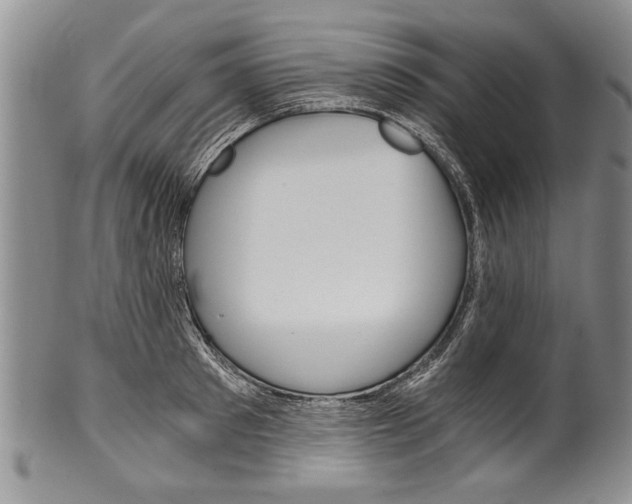 X0000101120897200806261042