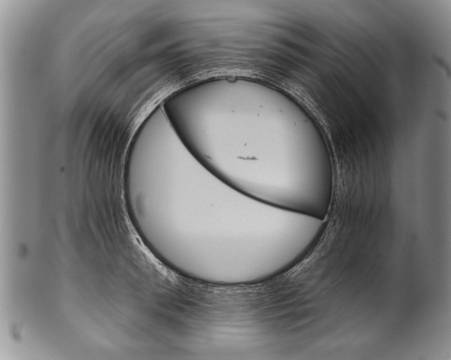 X0000101120898200806261042