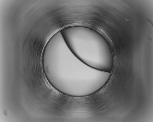 X0000101120900200806261042