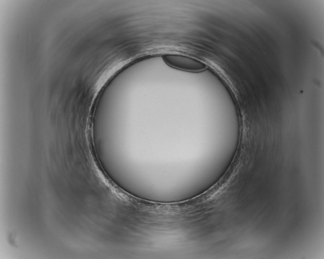 X0000101120901200806261042
