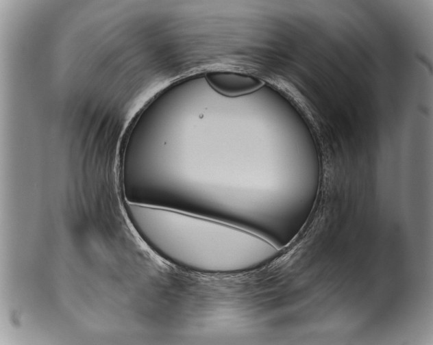X0000101120902200806261042