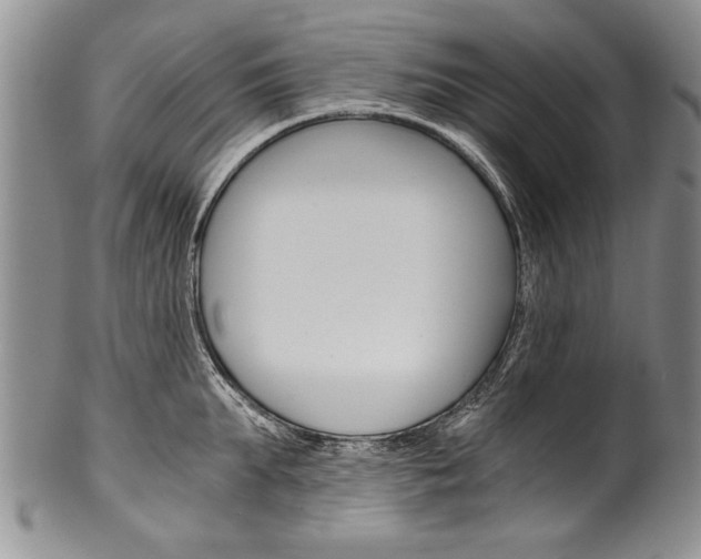 X0000101120903200806261042