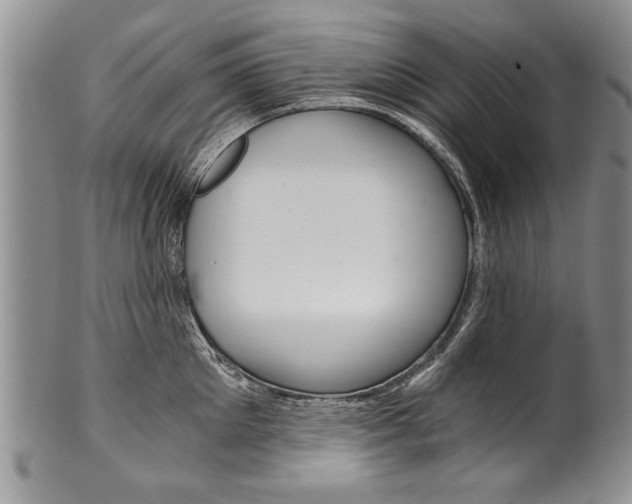 X0000101120905200806261042