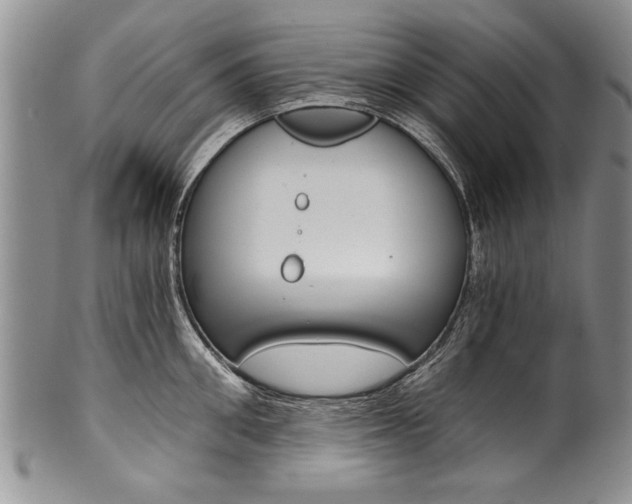 X0000101120906200806261042