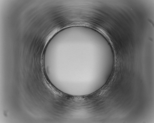 X0000101120907200806261042