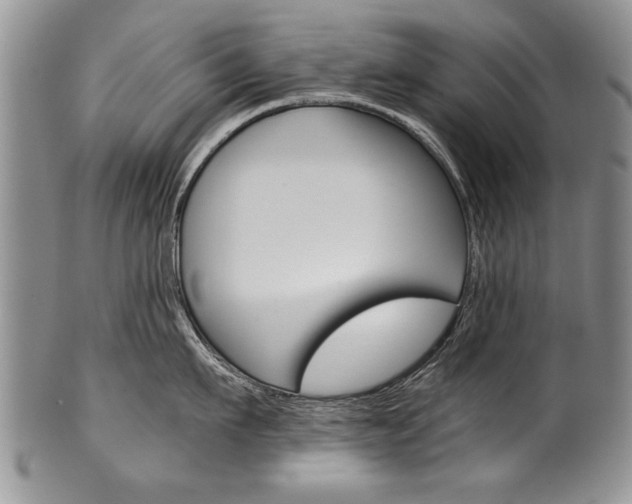 X0000101120911200806261042