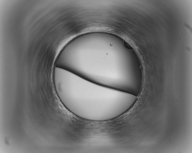X0000101120912200806261042