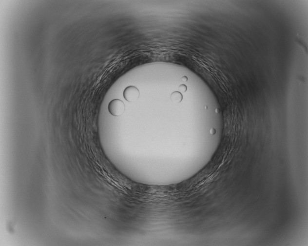 X0000101120913200806261041