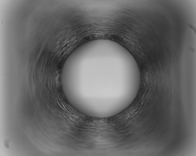 X0000101120914200806261041
