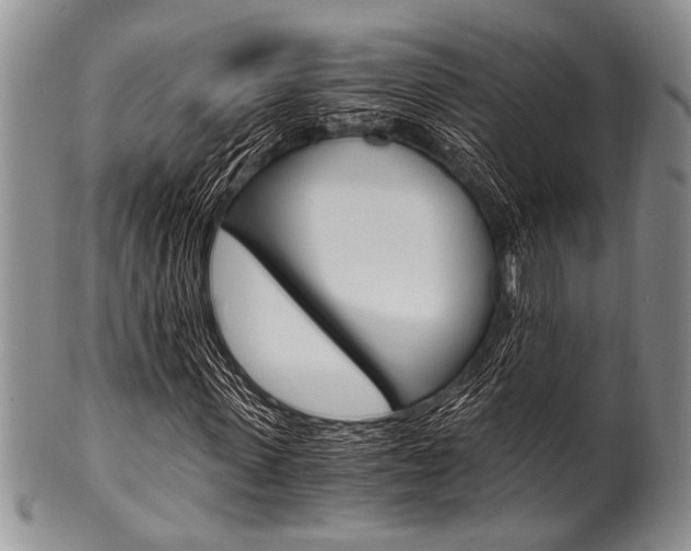 X0000101120915200806261041