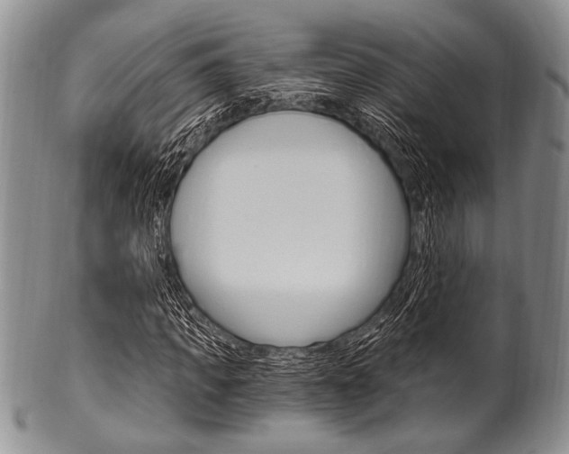 X0000101120917200806261041