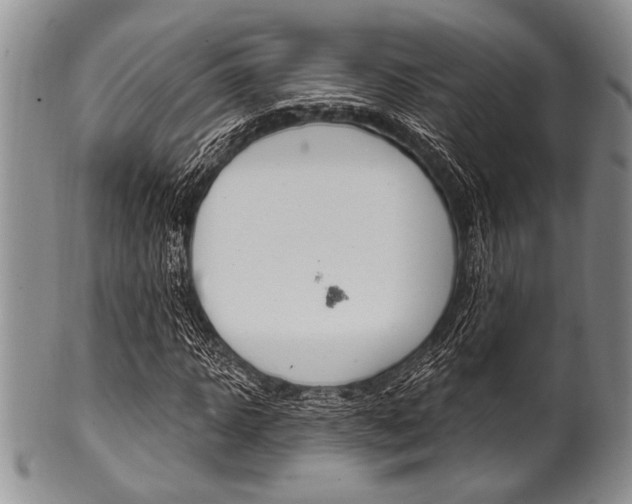 X0000101120918200806261041