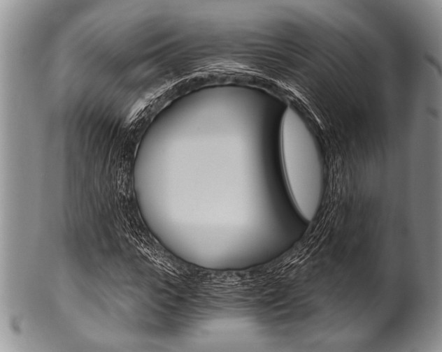 X0000101120919200806261041