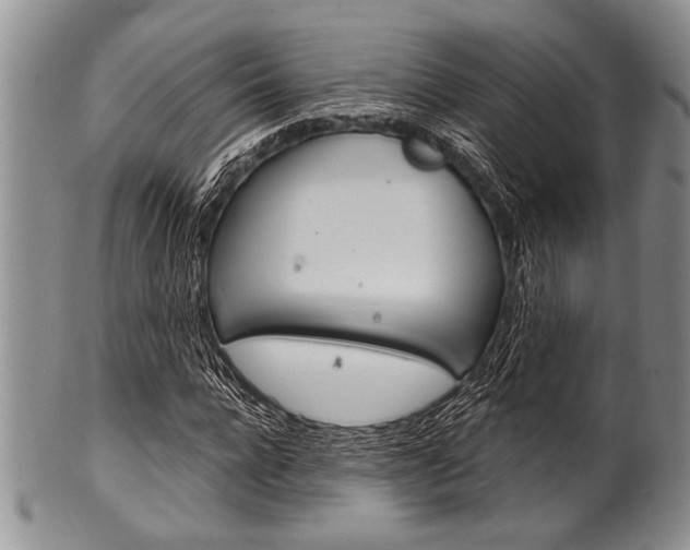 X0000101120920200806261041