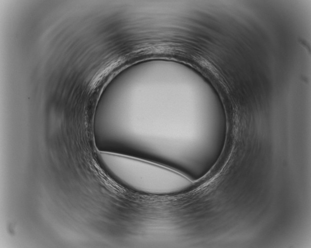 X0000101120922200806261041
