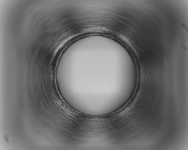 X0000101120923200806261041