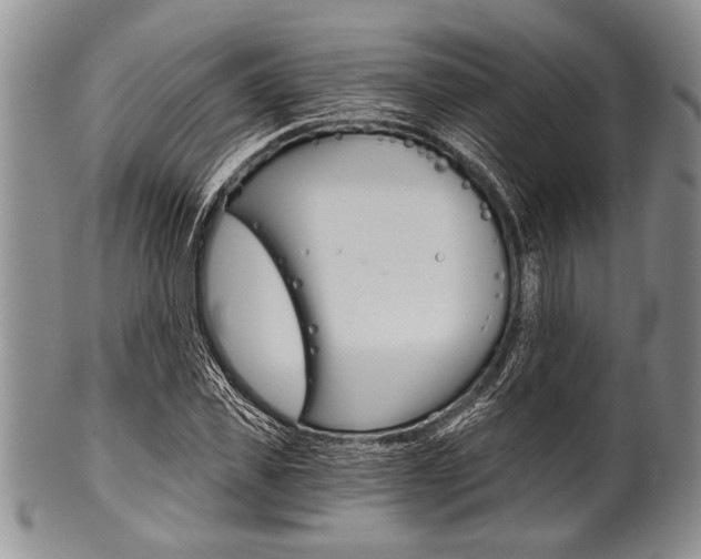 X0000101120925200806261041