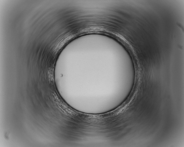 X0000101120929200806261042