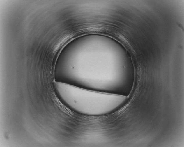 X0000101120930200806261042